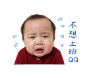 838556501