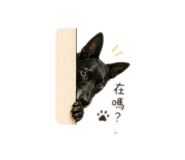 838556665