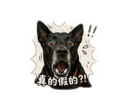 838556673