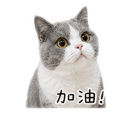 838556720