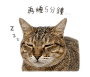 838556757