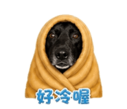 838556827