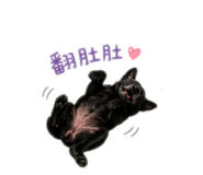 838556839