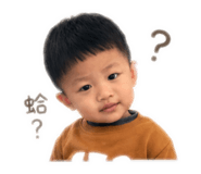 838557032