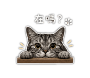 838557338