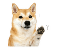 838557416