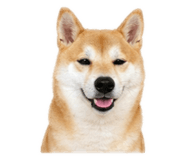 838557425