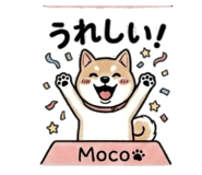 838559940