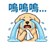 838562122