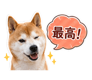 838562569