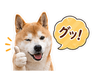 838562583