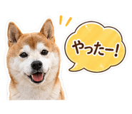 838562591