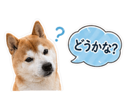838562592