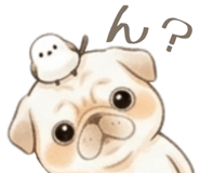 838563083