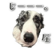 838563454