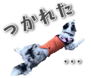 838563462