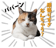 838563664