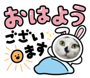 838563795