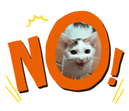 838563800