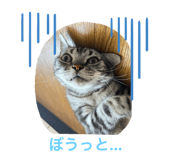 838563810