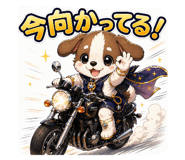 838564571