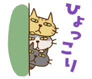 838564970