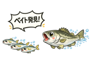 838565011