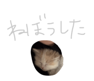 838565664