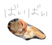 838565672