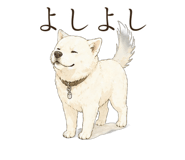 838566157