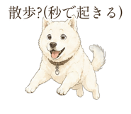 838566159