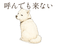 838566161