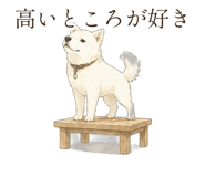 838566162