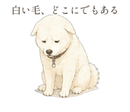 838566163