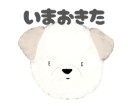 838568556
