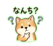 838568562