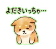 838568565
