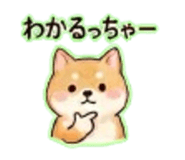 838568567