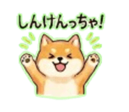 838568575