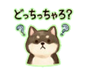 838568582