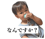 838569462