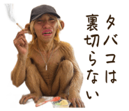 838569956