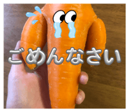 838570509