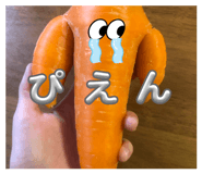 838570510