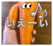 838570520