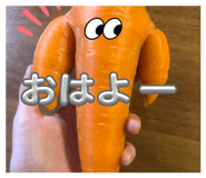 838570521
