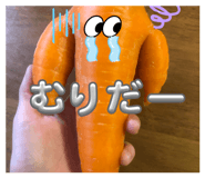 838570525