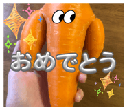838570532