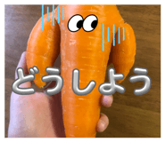 838570543