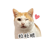 838570731
